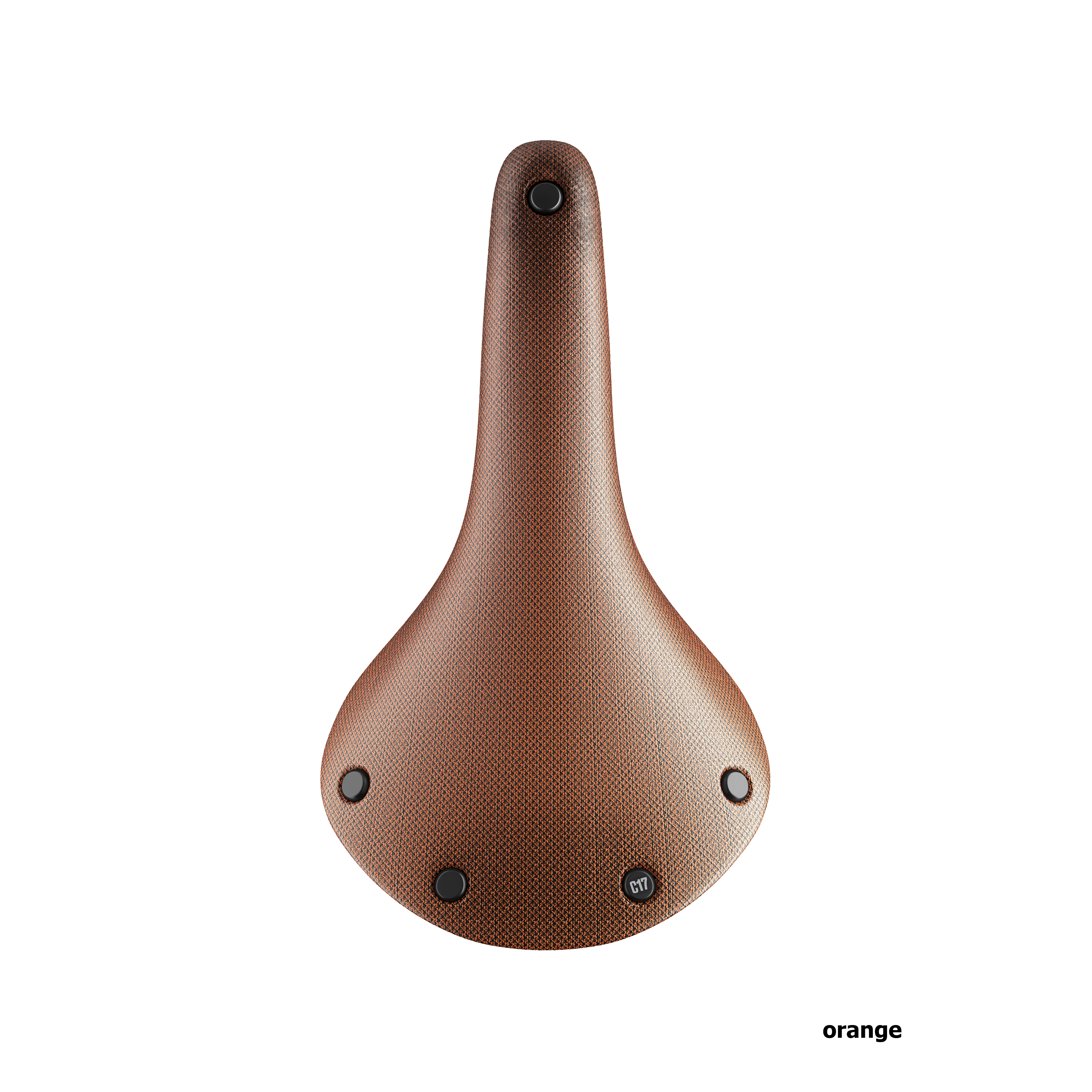 Brooks Cambium C17